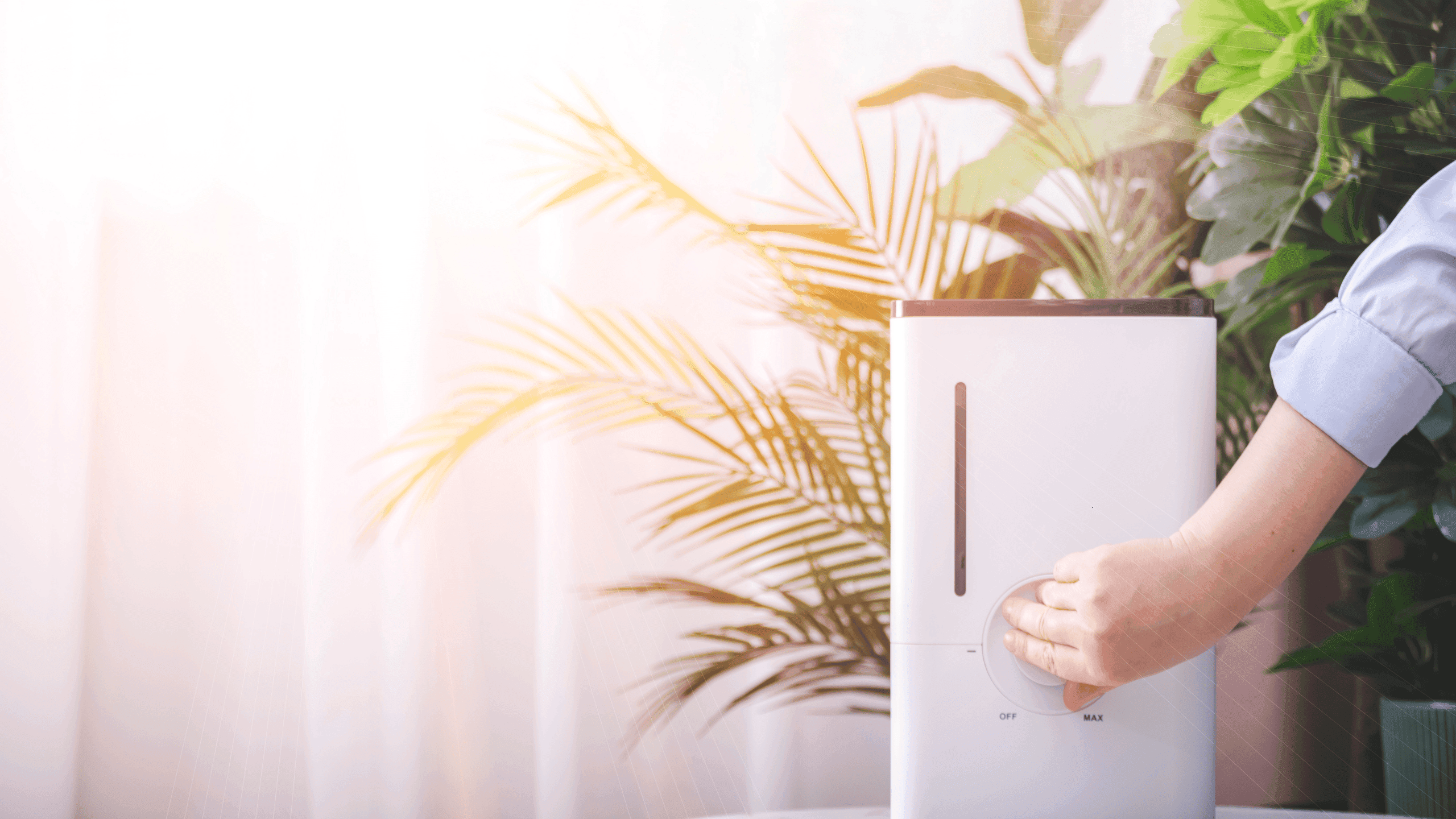 Razlika između ionizatora, ovlaživača i pročišćivača: Koji vam uređaj zapravo treba?